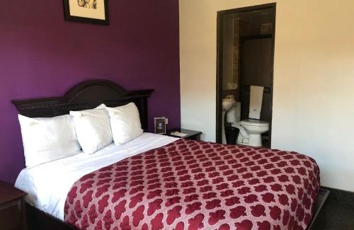 Zona Centro Hotel | HOTEL BUGAMBILIAS