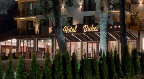 Zlatibor Hotel | Hotel Buket Zlatibor
