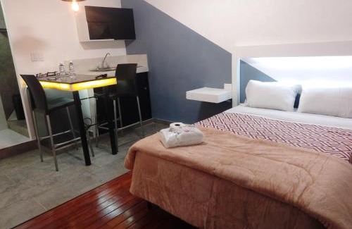 Puebla Apartment | Hotel Business del Sur
