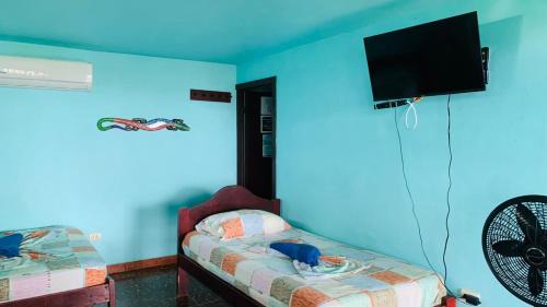 Montezuma Hotel | Hotel Cabinas Mar Y Cielo