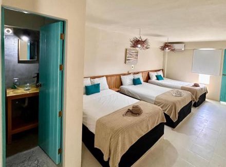 Colonia Centro Hotel | Hotel cacao spa cozumel