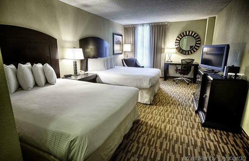 Tuscaloosa Hotel | Hotel Capstone: Double Queen Beds
