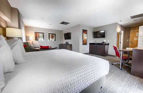 Tuscaloosa Hotel | Hotel Capstone: Double Queen Beds