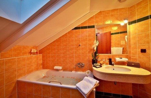 Zizkov Hotel | Hotel Carlton