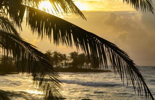 Corn Island Hotel | Hotel Casa Canada