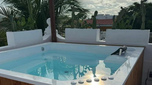 Cartagena Walled City Hotel | Hotel Casa de Las Palmas