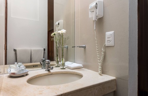 Zona Centro Hotel | Hotel Casa Virreyes