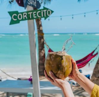 El Cortecito Hotel | Hotel Checkin El Cortecito Beach