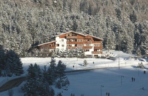 Armentarola Bed & Breakfast | Hotel Ciasa Ai Pini