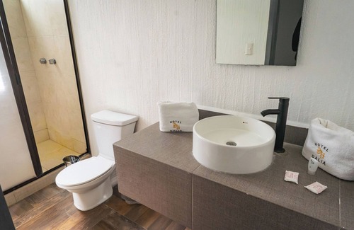 Leon Hotel | HOTEL DALIA
