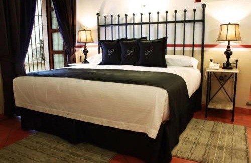 Zona Centro Hotel | Hotel de la Paz