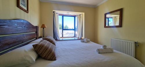 Pucon Hotel | Hotel del Volcán