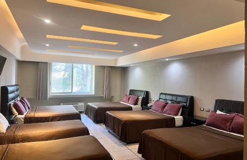 Morelia Hotel | Hotel Diana del Bosque by DOT Urban