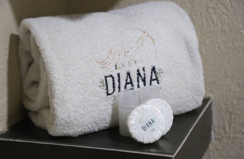 Morelia Hotel | Hotel Diana del Bosque by DOT Urban