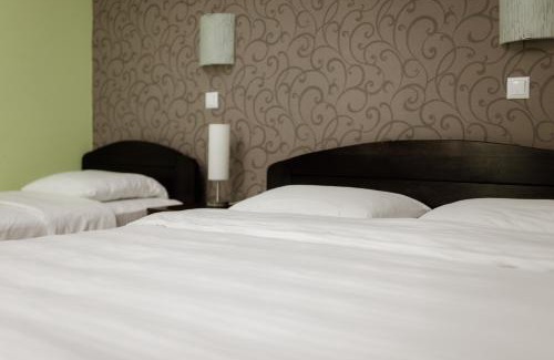 Ljubovija Hotel | Hotel Drinska lasta