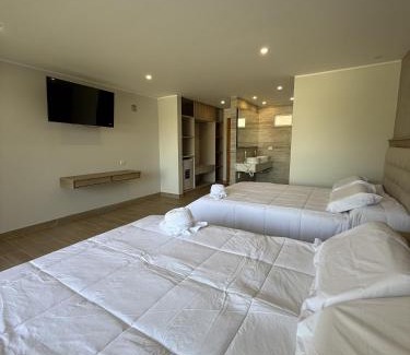 Pisco Hotel | Hotel El Condor