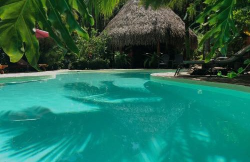 Samara Hotel | Hotel El Pequeño Gecko Verde