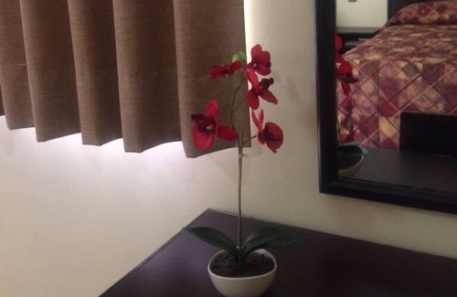 Monclova Hotel | Hotel Flores Hills