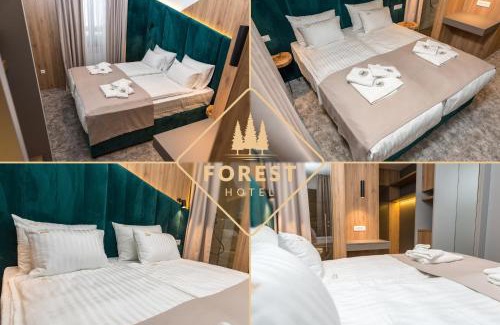 Pale Hotel | Hotel Forest