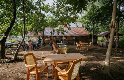 Shekhvetili Hotel | Hotel Forest Fairy