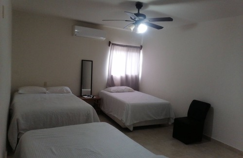 Tamuin Hotel | Hotel Galería Concordia