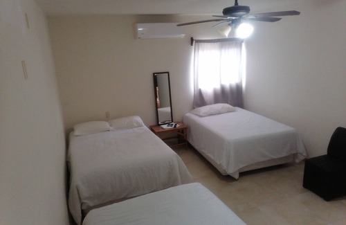 Tamuin Hotel | Hotel Galería Concordia