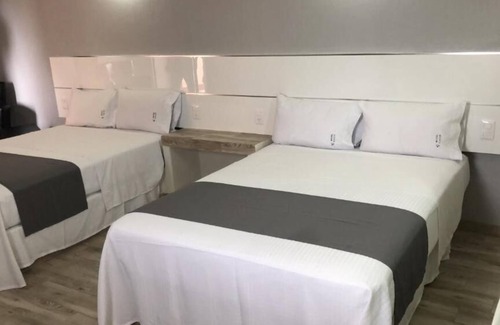 Reforma Hotel | Hotel Gallo Rubio