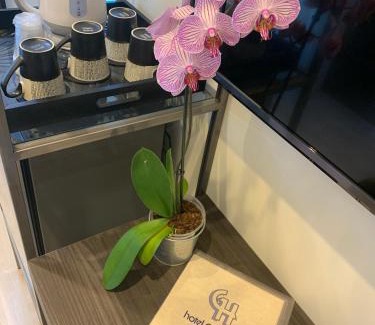 Torre Pedrera Hotel | Hotel Gardenia