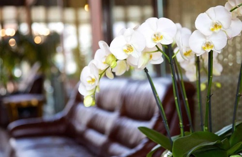 Wahn Hotel | Hotel Garni Geisler