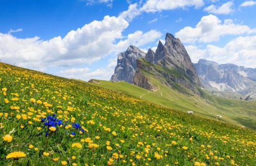 Ortisei Hotel | Hotel Garni Snaltnerhof