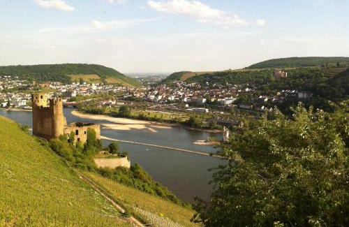Mainz-Bingen Hotel | Hotel Gasthof Schuster und Gästehaus