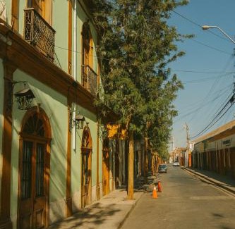 Vicuna Bed & Breakfast | Hotel Halley - Vicuña, Valle de Elqui