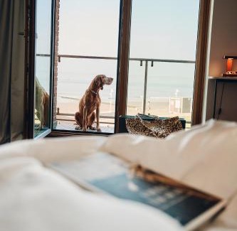 Norderney Hotel | Hotel Haus am Meer