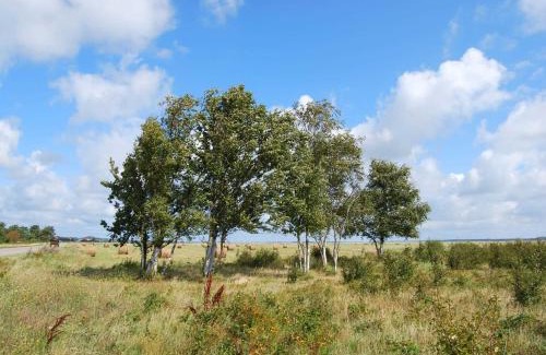 Kloster Hotel | Hotel Hiddensee Hitthim