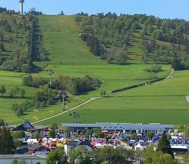 Ortsmitte Hotel | Hotel Hochsauerland 2010