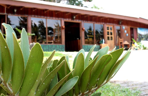 Monteverde Hotel | Hotel Holístico Monteverde
