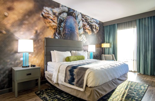 Tuscaloosa Hotel | Hotel Indigo Tuscaloosa Downtown by IHG