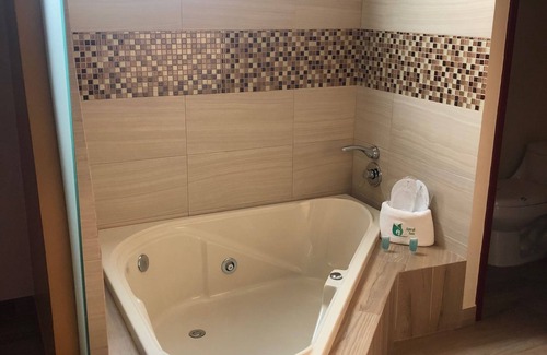Coyoacan Hotel | Hotel Jard Inn Adults only