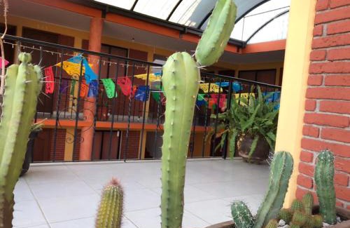 Oaxaca Hotel | Hotel La Cascada Oaxaca