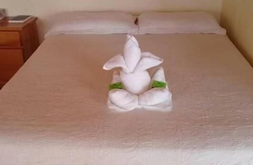 Monteverde Bed & Breakfast | Hotel la Puesta del Sol