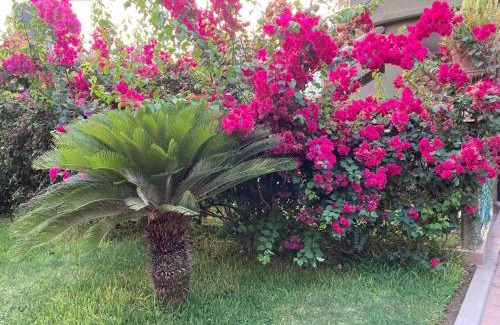 Brisas de Zicatela Hotel | hotel las olas zicatela 2