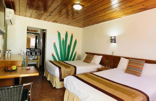 Verdugo Hotel | Hotel Las Palmas