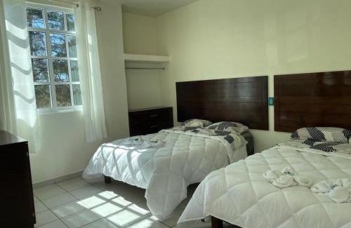 Oaxaca Hotel | Hotel Leilani