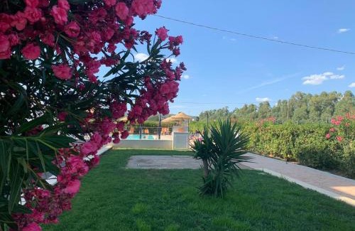 Follonica Hotel | Hotel Letizia