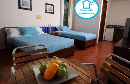 Downtown Cancun Hotel | Hotel Los Girasoles