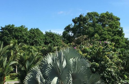 Paso Canoas Hotel | Hotel Los Higuerones