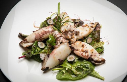 Lido di Camaiore Hotel | Hotel Mariotti