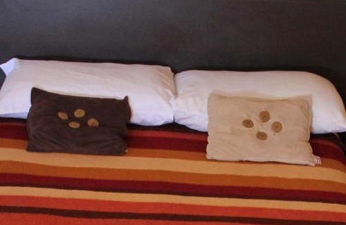 La Paz Hotel | Hotel Miramar - La Paz