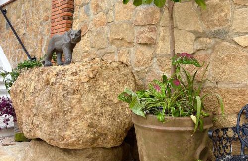 Tuxtla Gutierrez Hotel | Hotel Monkey House Tuxtla Gutiérrez