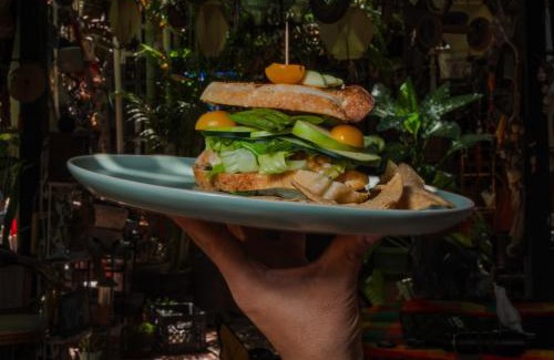 La Paz Bed & Breakfast | Hotel-Museo Yeneka